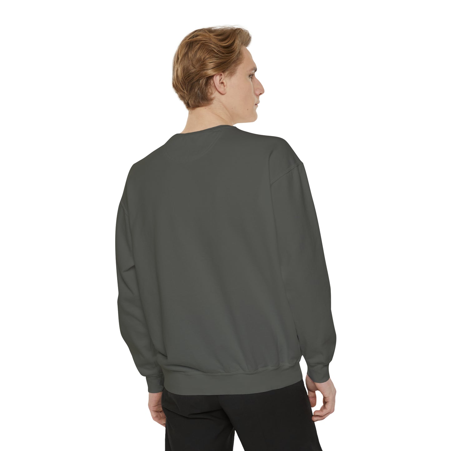 The Fly "Help Me" Garment-Dyed Sweatshirt